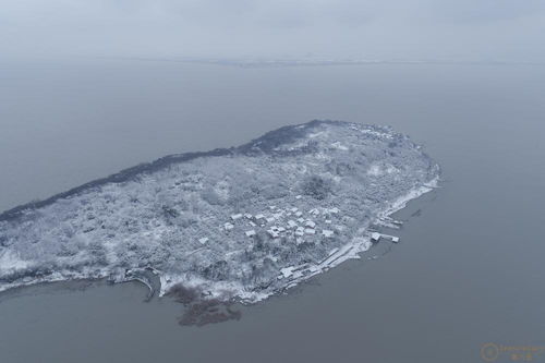 江蘇大樂之野 余山島 在線預(yù)訂與價(jià)格查詢——第六感精品別墅與文化藝術(shù)咨詢指南