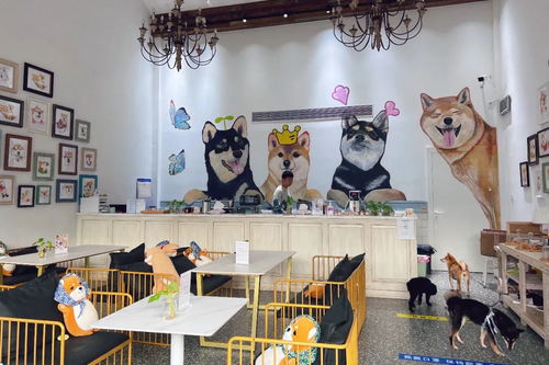 身邊的美學空間 蘇州這幾處公共文化體驗空間，文藝小資且充滿藝術靈感